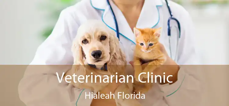 Veterinarian Clinic Hialeah Florida