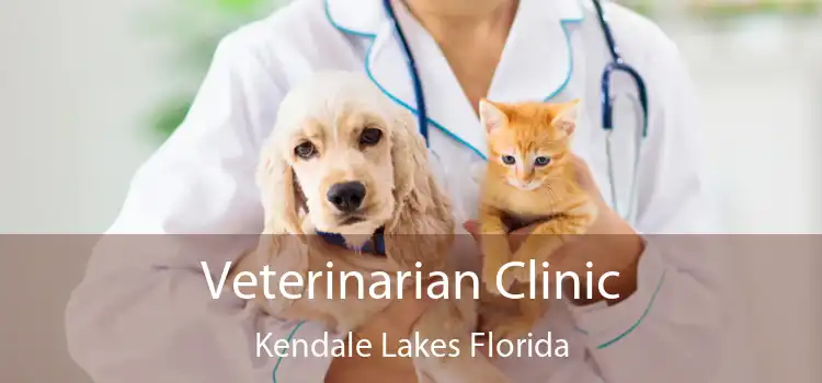 Veterinarian Clinic Kendale Lakes Florida