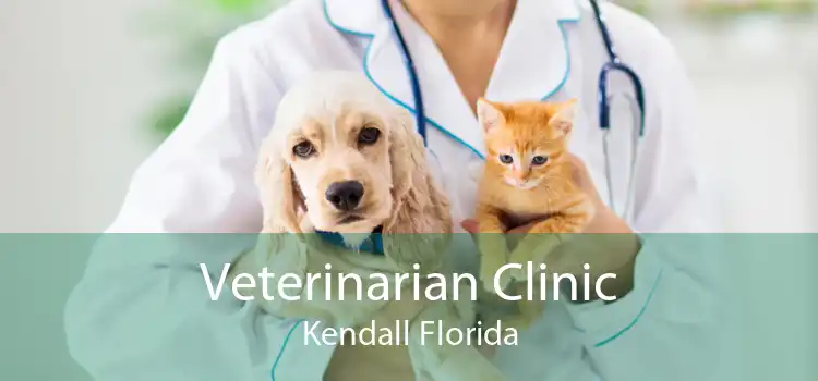 Veterinarian Clinic Kendall Florida