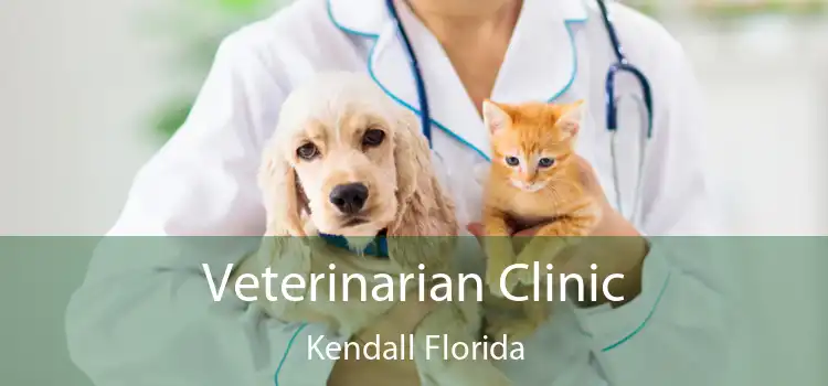 Veterinarian Clinic Kendall Florida