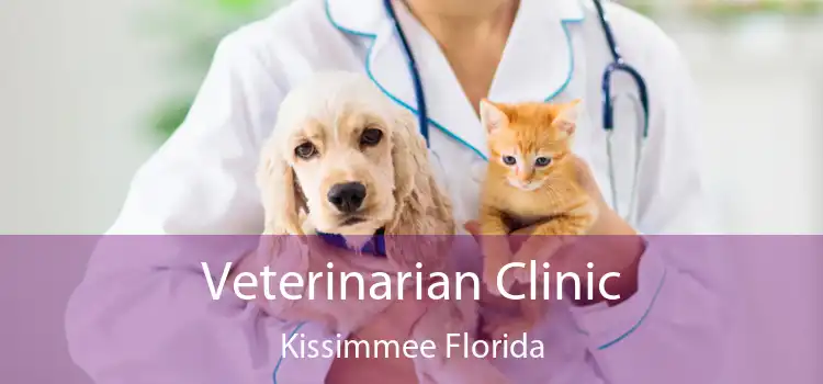 Veterinarian Clinic Kissimmee Florida