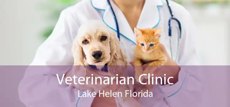Veterinarian Clinic Lake Helen Florida
