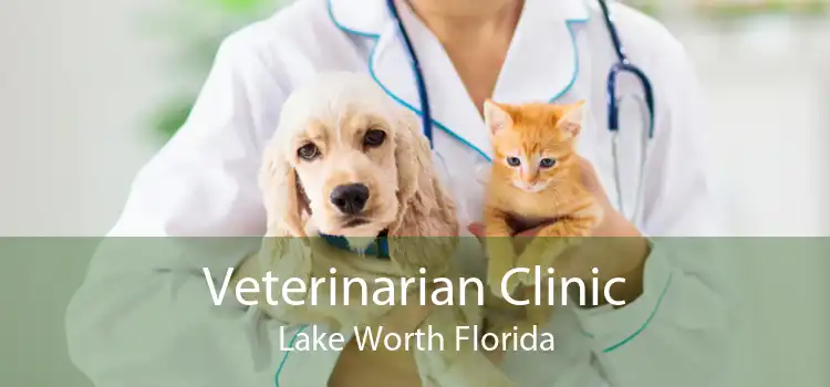 Veterinarian Clinic Lake Worth Florida