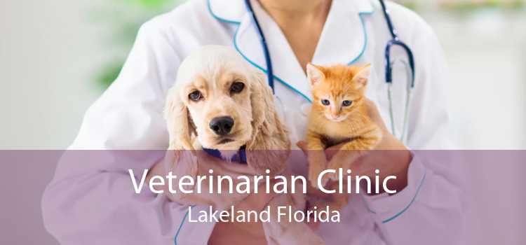 Veterinarian Clinic Lakeland Florida