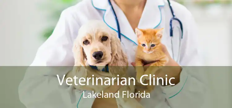 Veterinarian Clinic Lakeland Florida