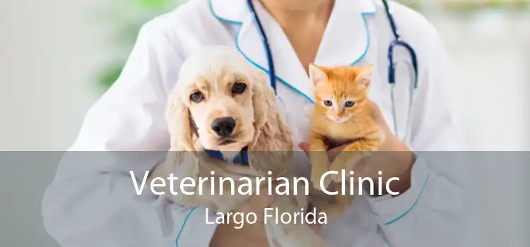 Veterinarian Clinic Largo Florida