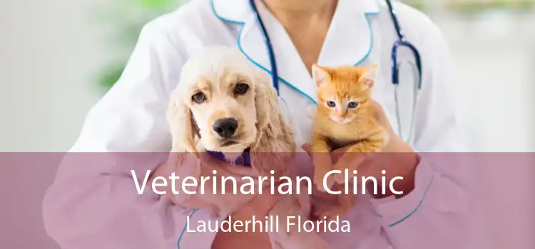 Veterinarian Clinic Lauderhill Florida