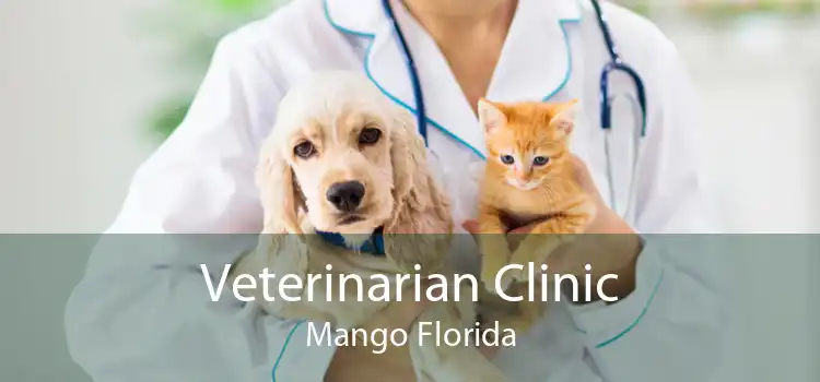 Veterinarian Clinic Mango Florida