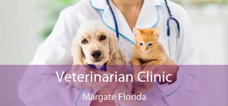 Veterinarian Clinic Margate Florida