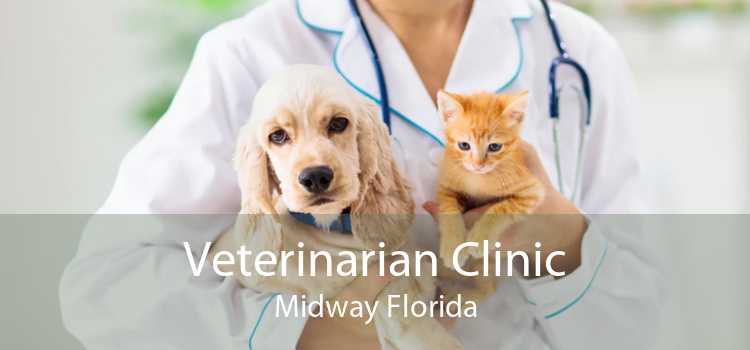 Veterinarian Clinic Midway Florida