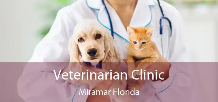 Veterinarian Clinic Miramar Florida