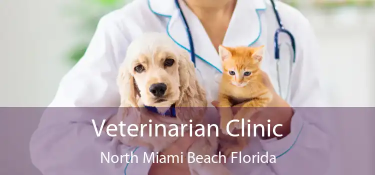 Veterinarian Clinic North Miami Beach Florida