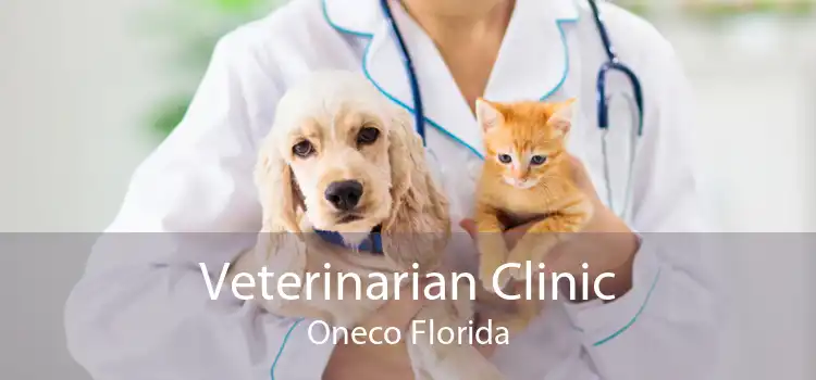 Veterinarian Clinic Oneco Florida