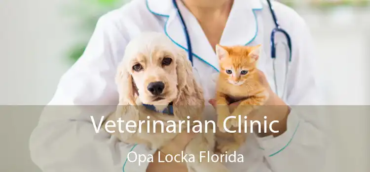 Veterinarian Clinic Opa Locka Florida