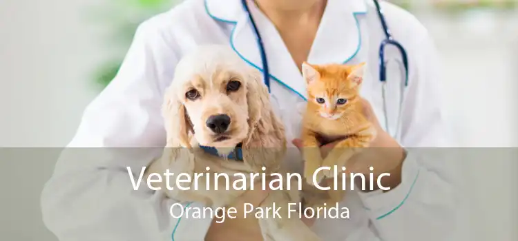 Veterinarian Clinic Orange Park Florida