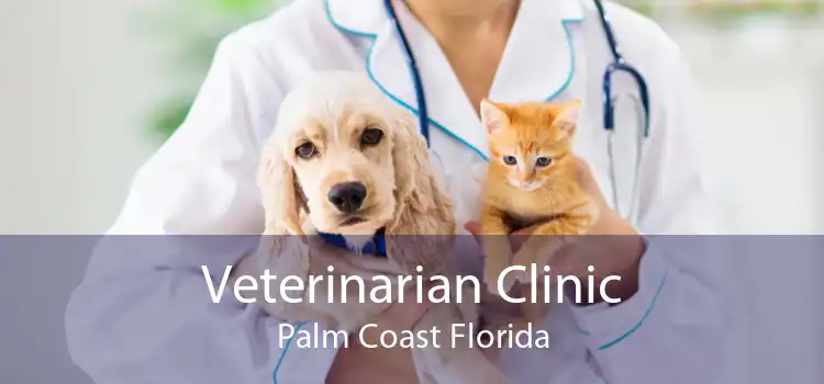 Veterinarian Clinic Palm Coast Florida