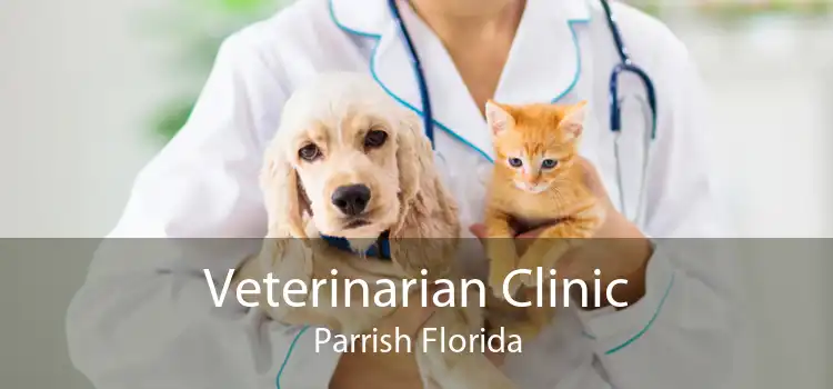 Veterinarian Clinic Parrish Florida