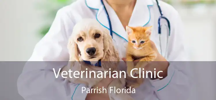 Veterinarian Clinic Parrish Florida