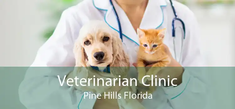 Veterinarian Clinic Pine Hills Florida