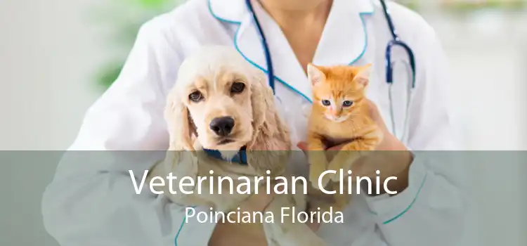 Veterinarian Clinic Poinciana Florida