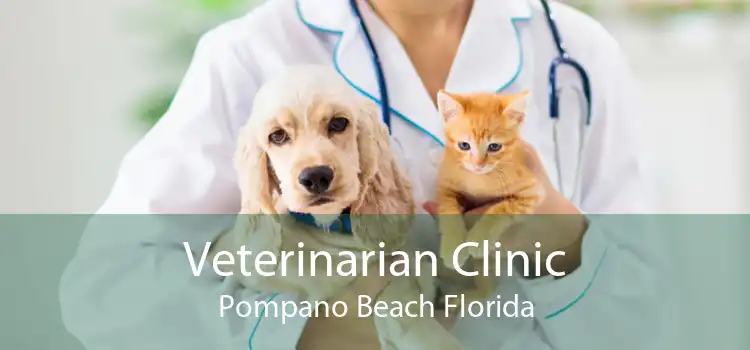 Veterinarian Clinic Pompano Beach Florida