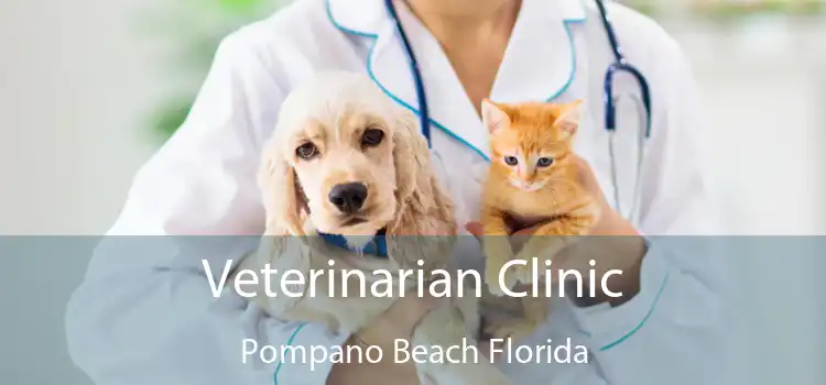Veterinarian Clinic Pompano Beach Florida