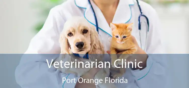 Veterinarian Clinic Port Orange Florida