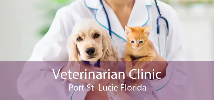 Veterinarian Clinic Port St  Lucie Florida