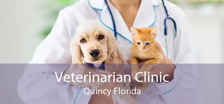 Veterinarian Clinic Quincy Florida