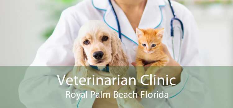 Veterinarian Clinic Royal Palm Beach Florida