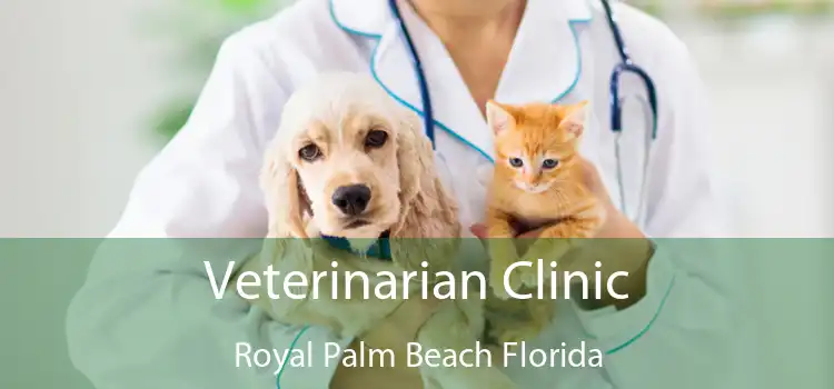 Veterinarian Clinic Royal Palm Beach Florida