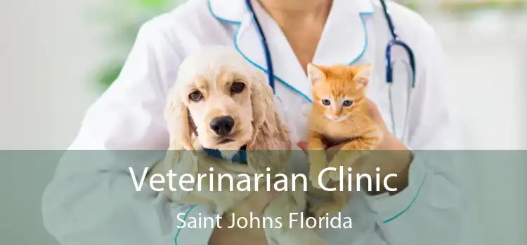 Veterinarian Clinic Saint Johns Florida