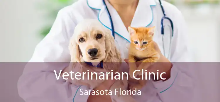 Veterinarian Clinic Sarasota Florida