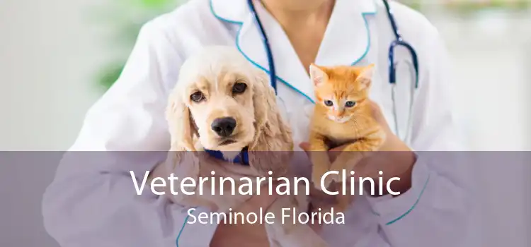 Veterinarian Clinic Seminole Florida