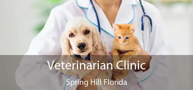 Veterinarian Clinic Spring Hill Florida