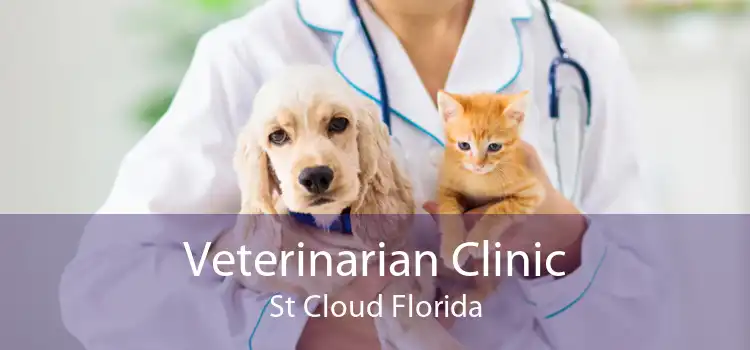 Veterinarian Clinic St Cloud Florida