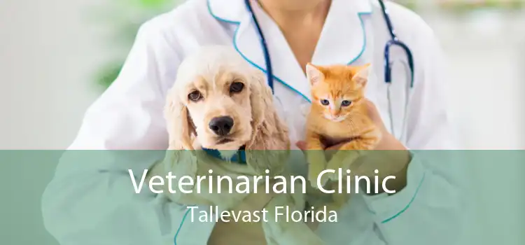 Veterinarian Clinic Tallevast Florida