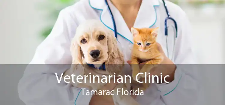 Veterinarian Clinic Tamarac Florida