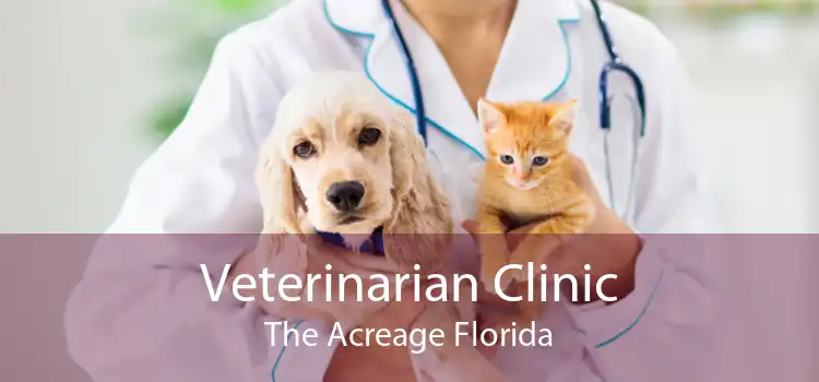 Veterinarian Clinic The Acreage Florida