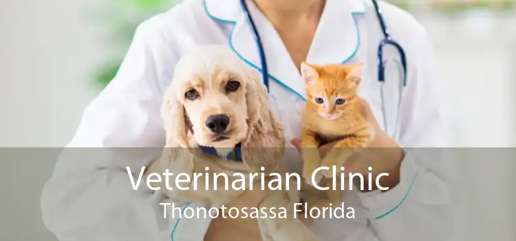 Veterinarian Clinic Thonotosassa Florida