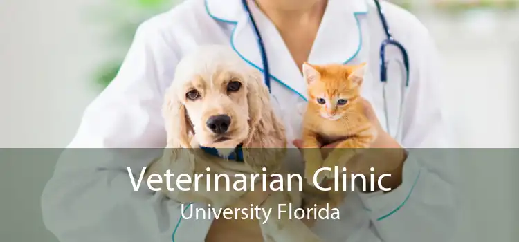 Veterinarian Clinic University Florida