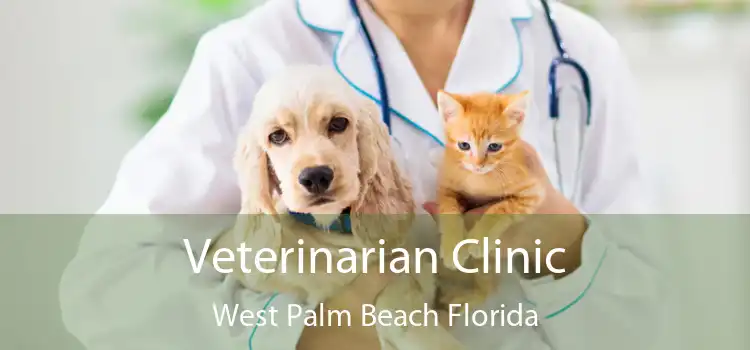 Veterinarian Clinic West Palm Beach Florida