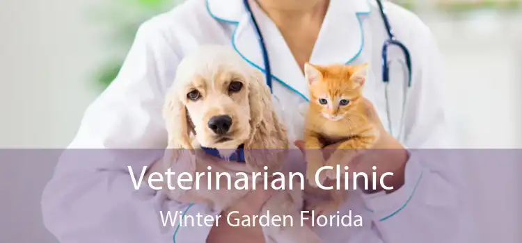 Veterinarian Clinic Winter Garden Florida